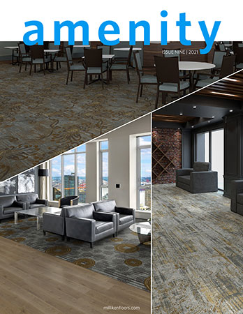 Amenity Issue 9 - January 2021