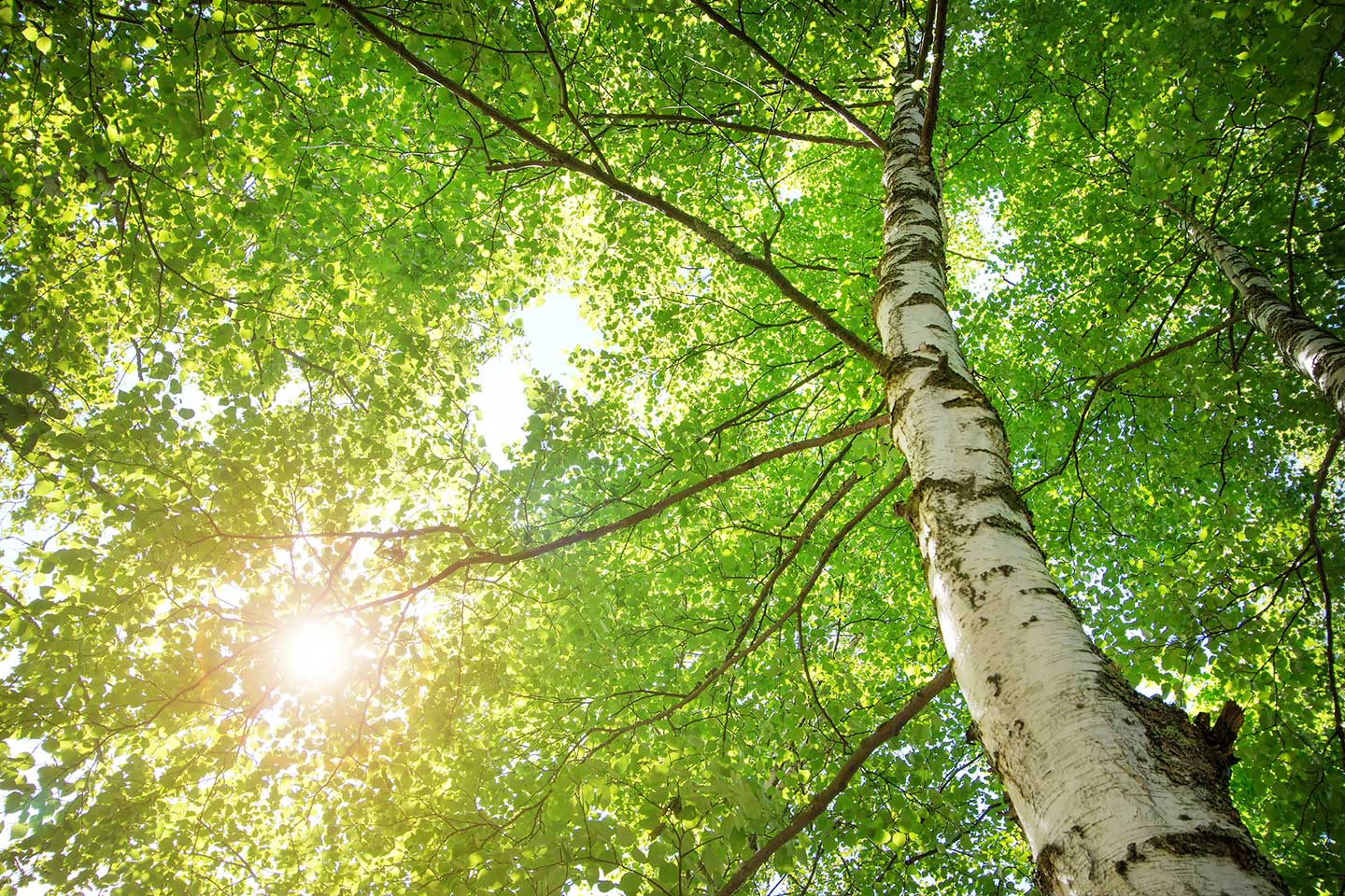 kblog-header